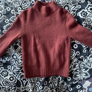JCrew Turtleneck Sweater